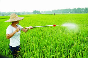 早稻除虫灭害高潮